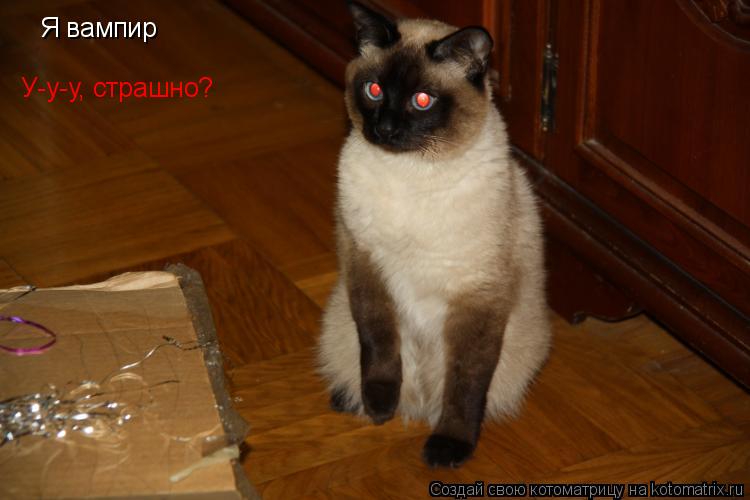 Я вампир У-у-у, страшно?... Котоматрица: Я вампир У-у-у, страшно?