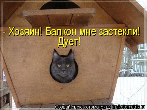 - Хозяин! Балкон мне застекли! Дует!... Котоматрица: - Хозяин! Балкон мне застекли! Дует!
