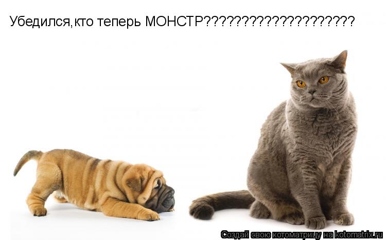 Убедился,кто теперь МОНСТР???????????????????? НУ что,Бобик,... Котоматрица: Убедился,кто теперь МОНСТР???????????????????? НУ что,Бобик,