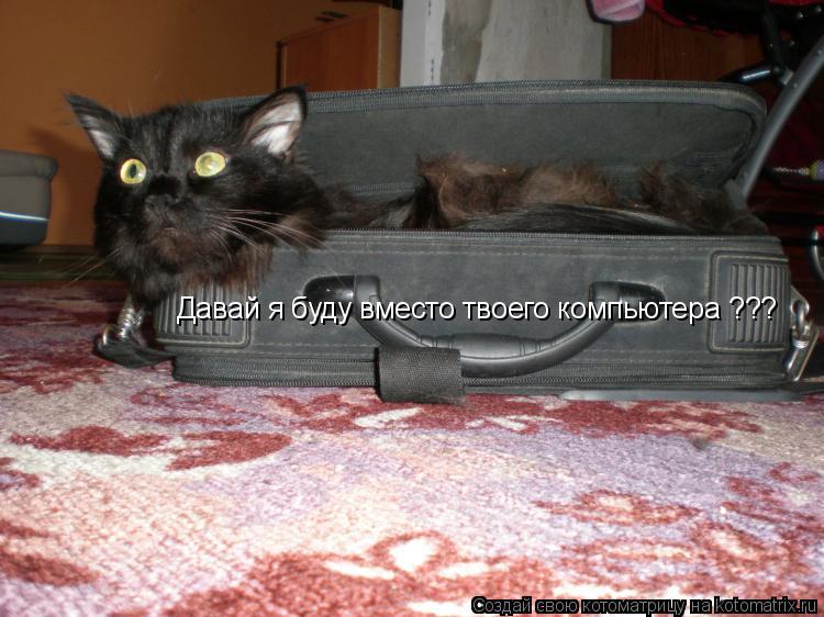 Давай я буду вместо твоего компьютера ???... Котоматрица: Давай я буду вместо твоего компьютера ???