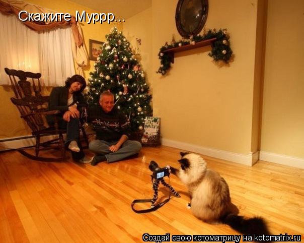 Скажите Муррр...... Котоматрица: Скажите Муррр...