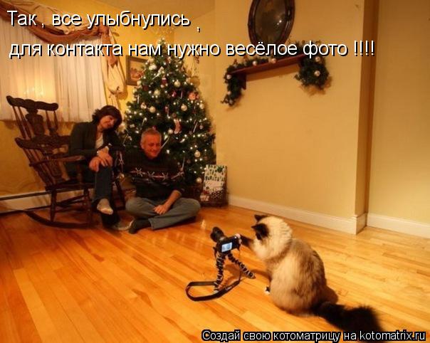 Так , все улыбнулись , для контакта нам нужно весёлое фото !!!!... Котоматрица: Так , все улыбнулись , для контакта нам нужно весёлое фото !!!!