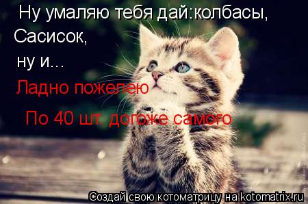 Ну умаляю тебя дай:колбасы, Сасисок, ну и... Ладно пожелею По 40 шт. догоже самого... Котоматрица: Ну умаляю тебя дай:колбасы, Сасисок, ну и... Ладно пожелею По 40 шт. догоже самого