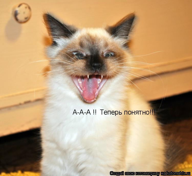 А-А-А !! Теперь понятно!!!... Котоматрица: А-А-А !! Теперь понятно!!!