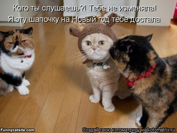 Кого ты слушаешь?! Тебе не изменяла! Я эту шапочку на Новый год тебе достала... Котоматрица: Кого ты слушаешь?! Тебе не изменяла! Я эту шапочку на Новый год тебе достала