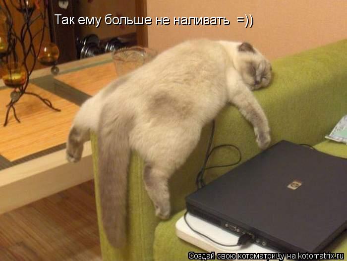 Так ему больше не наливать =))... Котоматрица: Так ему больше не наливать =))