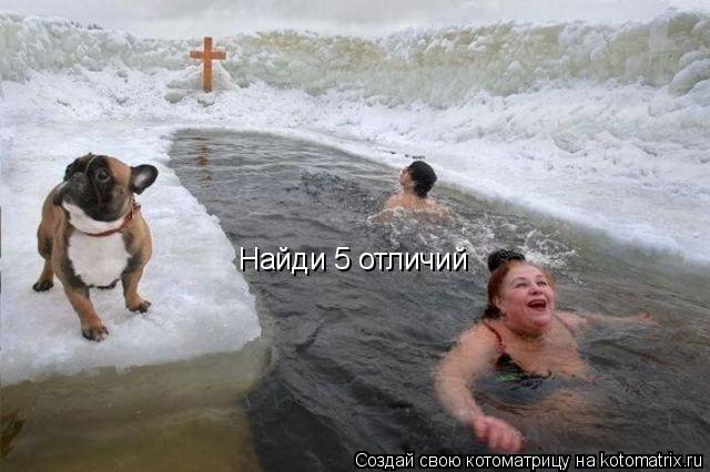 Найди 5 отличий... Котоматрица: Найди 5 отличий