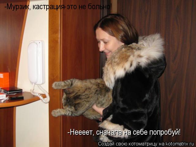 -Неееет, сначала на себе попробуй! -Мурзик, кастрация-это не больно!... Котоматрица: -Неееет, сначала на себе попробуй! -Мурзик, кастрация-это не больно!