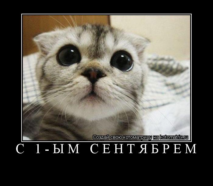 С 1-ЫМ СЕНТЯБРЁМ ... Котоматрица: С 1-ЫМ СЕНТЯБРЁМ