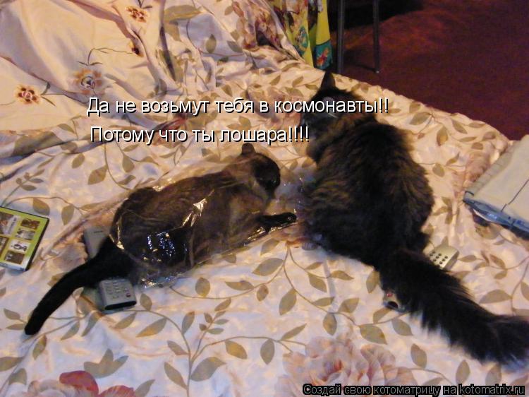 Да не возьмут тебя в космонавты!! Потому что ты лошара!!!!... Котоматрица: Да не возьмут тебя в космонавты!! Потому что ты лошара!!!!