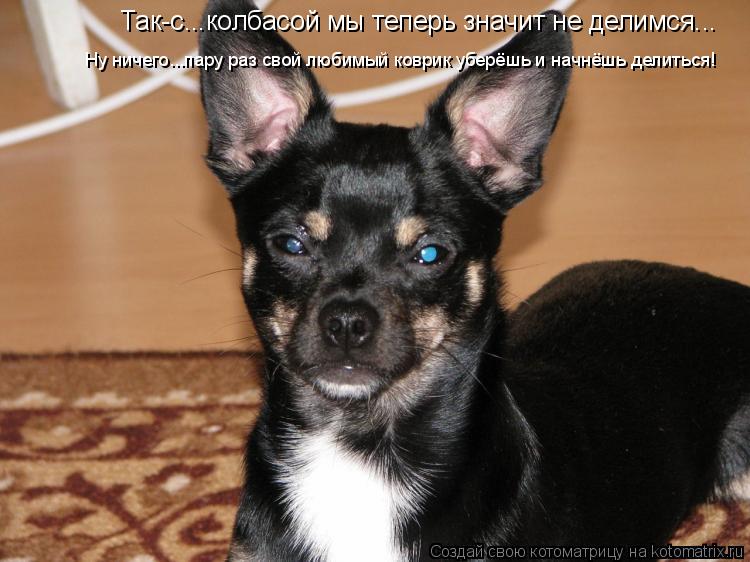 Так-с...колбасой мы теперь значит не делимся... Так-с...колбасой мы теперь значит не делимся... Ну ни... Котоматрица: Так-с...колбасой мы теперь значит не делимся... Так-с...колбасой мы теперь значит не делимся... Ну ничего...пару раз свой любимый коврик уберёшь