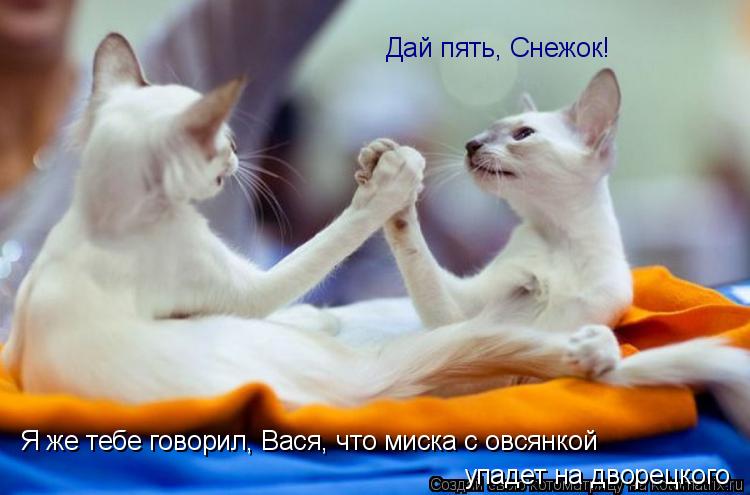упадет на дворецкого Я же тебе говорил, Вася, что миска с овсянкой Дай пять, Снежок!... Котоматрица: упадет на дворецкого Я же тебе говорил, Вася, что миска с овсянкой Дай пять, Снежок!