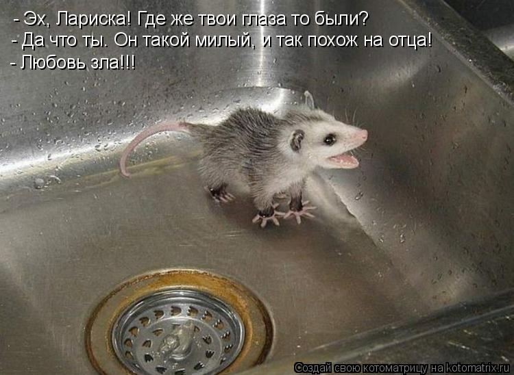 - Эх, Лариска! Где же твои глаза то были? - Да что ты. Он такой милый, и так похож на отца! - Любовь ... Котоматрица: - Эх, Лариска! Где же твои глаза то были? - Да что ты. Он такой милый, и так похож на отца! - Любовь зла!!!