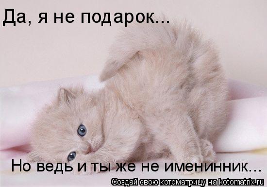 Да, я не подарок... Но ведь и ты же не именинник...... Котоматрица: Да, я не подарок... Но ведь и ты же не именинник...