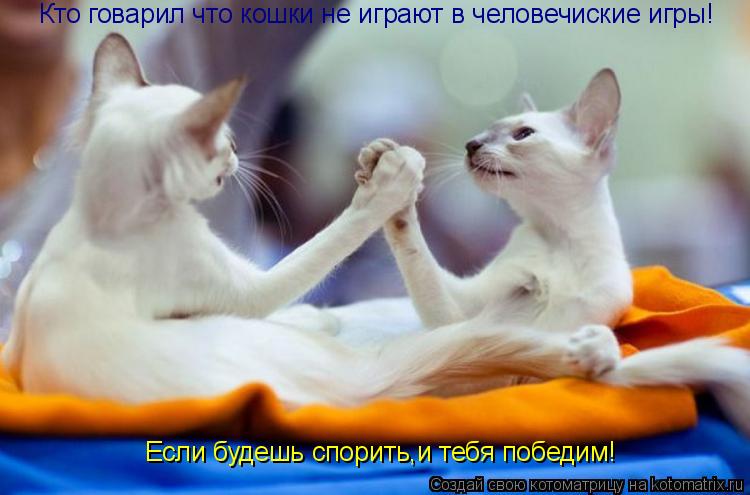Кто говарил что кошки не играют в человечиские игры! Если будешь спорить,и тебя победим!... Котоматрица: Кто говарил что кошки не играют в человечиские игры! Если будешь спорить,и тебя победим!