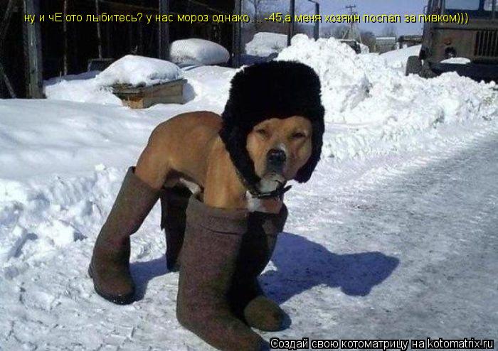 ну и чЕ ото лыбитесь? у нас мороз однако.... -45,а меня хозяин послал за пивком)))... Котоматрица: ну и чЕ ото лыбитесь? у нас мороз однако.... -45,а меня хозяин послал за пивком)))
