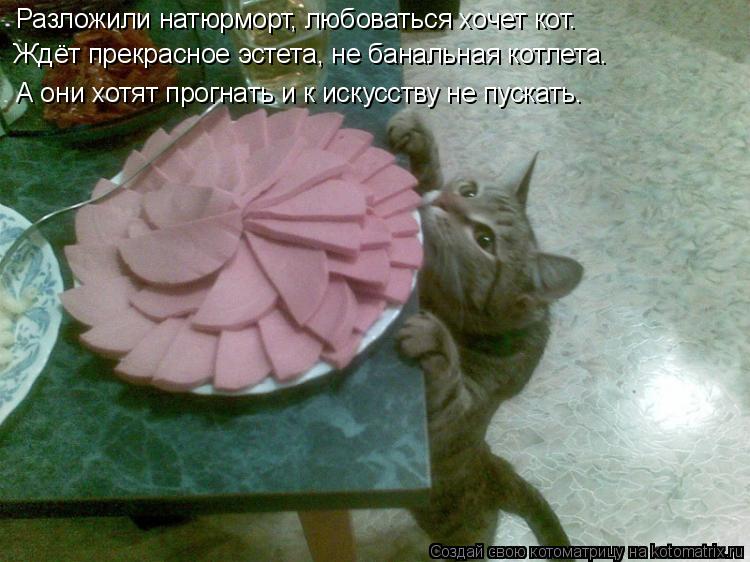Разложили натюрморт, любоваться хочет кот. Ждёт прекрасное эстета, не банальная котлета. А они хотят ... Котоматрица: Разложили натюрморт, любоваться хочет кот. Ждёт прекрасное эстета, не банальная котлета. А они хотят прогнать и к искусству не пускать.