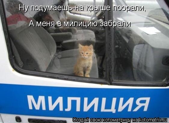 Ну подумаешь-на крыше поорали, А меня в милицию забрали... Котоматрица: Ну подумаешь-на крыше поорали, А меня в милицию забрали
