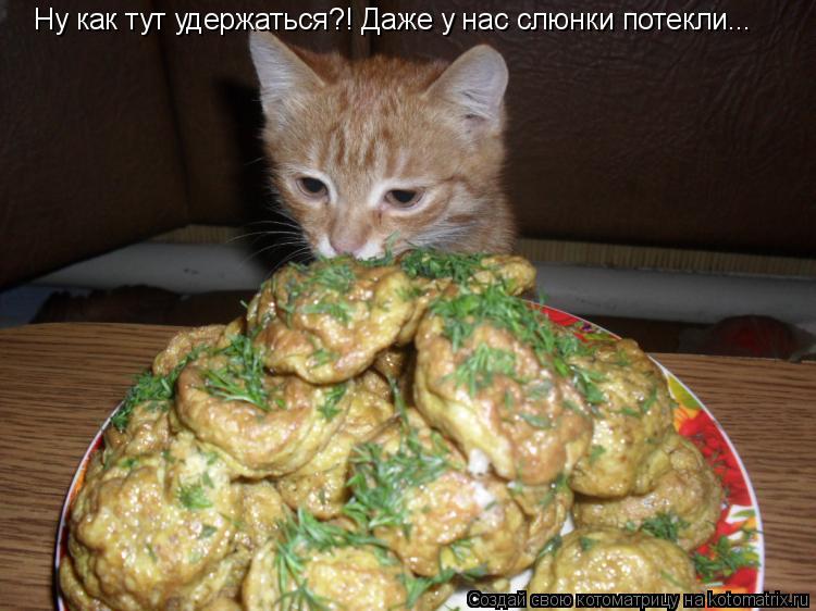 Ну как тут удержаться?! Даже у нас слюнки потекли...... Котоматрица: Ну как тут удержаться?! Даже у нас слюнки потекли...