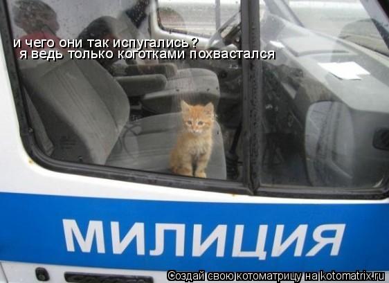 я ведь только коготками похвастался и чего они так испугались?... Котоматрица: я ведь только коготками похвастался и чего они так испугались?
