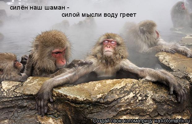 силён наш шаман - силой мысли воду греет... Котоматрица: силён наш шаман - силой мысли воду греет