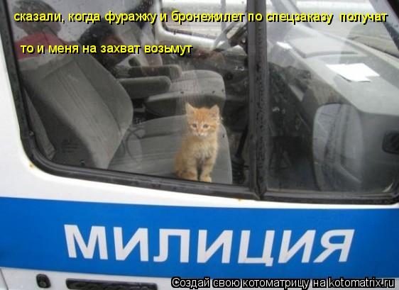 сказали, когда фуражку и бронежилет по спецзаказу получат то и меня на захват возьмут... Котоматрица: сказали, когда фуражку и бронежилет по спецзаказу получат то и меня на захват возьмут