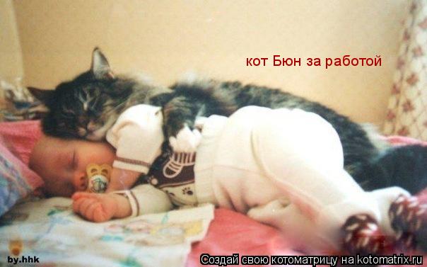 кот Бюн за работой... Котоматрица: кот Бюн за работой
