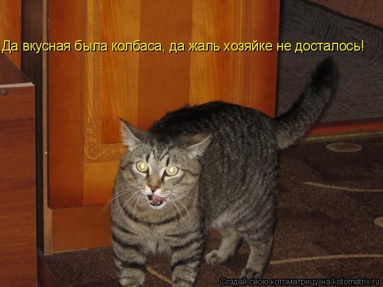 Да вкусная была колбаса, да жаль хозяйке не досталось!... Котоматрица: Да вкусная была колбаса, да жаль хозяйке не досталось!