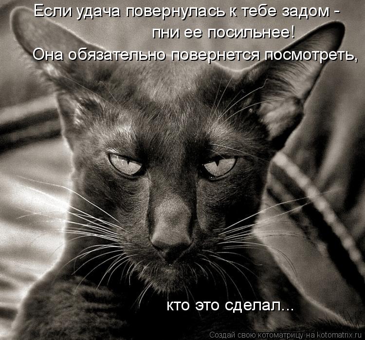 Если удача повернулась к тебе задом - пни ее посильнее! Она обязательно повернется посмотреть, кто ... Котоматрица: Если удача повернулась к тебе задом - пни ее посильнее! Она обязательно повернется посмотреть, кто это сделал...