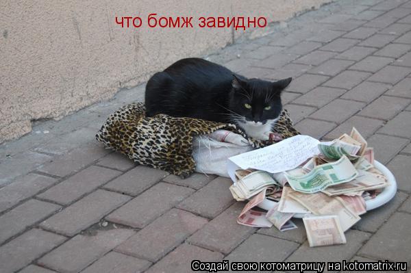 что бомж завидно... Котоматрица: что бомж завидно