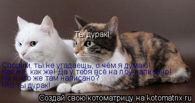 Ты дурак! Спорим, ты не угадаешь, о чём я думаю! Как же, как же! Да у тебя всё на лбу написано! Ну и ... Котоматрица: Ты дурак! Спорим, ты не угадаешь, о чём я думаю! Как же, как же! Да у тебя всё на лбу написано! Ну и что же там написано? Что ты дурак!