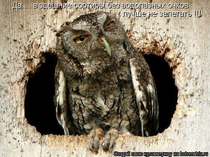 Да.... в здешние сортиры без водолазных очков лучше не залетать !!!... Котоматрица: Да.... в здешние сортиры без водолазных очков лучше не залетать !!!