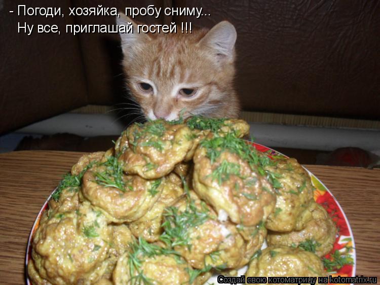 Котоматрица: - Погоди, хозяйка, пробу сниму... Ну все, приглашай гостей !!!