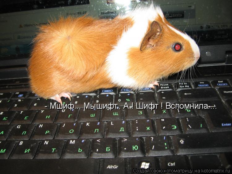 - Мшиф... Мышифт.. А ! Шифт ! Вспомнила....... Котоматрица: - Мшиф... Мышифт.. А ! Шифт ! Вспомнила....