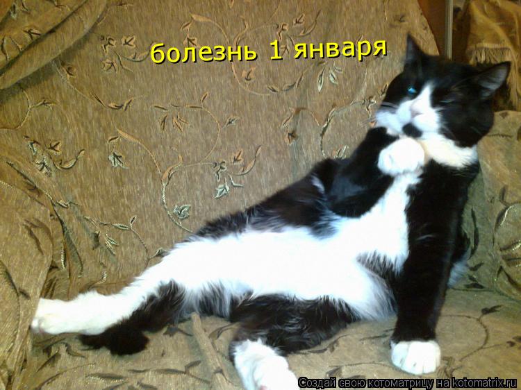 Котоматрица: болезнь 1 января