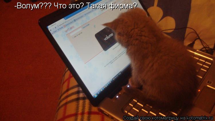 Котоматрица: -Волум??? Что это? Такая фирма?