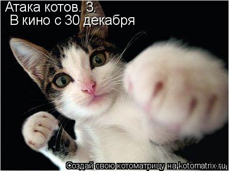 Атака котов. 3. В кино с 30 декабря... Котоматрица: Атака котов. 3. В кино с 30 декабря