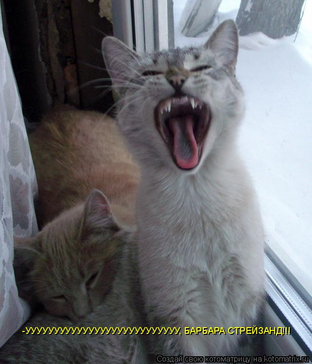 -УУУУУУУУУУУУУУУУУУУУУУУУУУУ, БАРБАРА СТРЕЙЗАНД!!!... Котоматрица: -УУУУУУУУУУУУУУУУУУУУУУУУУУУ, БАРБАРА СТРЕЙЗАНД!!!