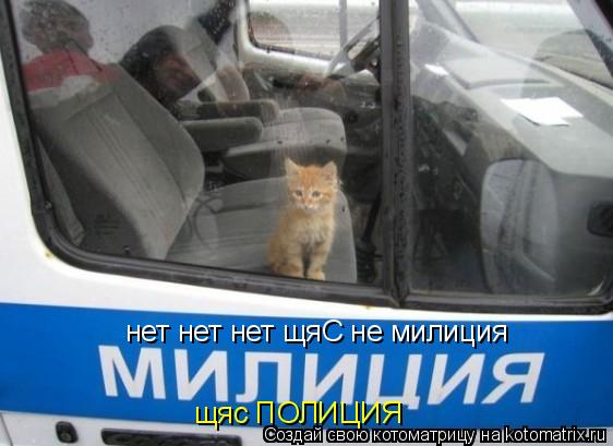 Котоматрица: нет нет нет щяС не милиция  щяс ПОЛИЦИЯ