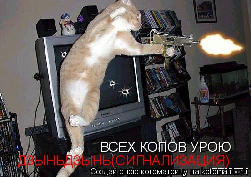 ВСЕХ КОПОВ УРОЮ ДЗЫНЬДЗЫНЬ(СИГНАЛИЗАЦИЯ)... Котоматрица: ВСЕХ КОПОВ УРОЮ ДЗЫНЬДЗЫНЬ(СИГНАЛИЗАЦИЯ)