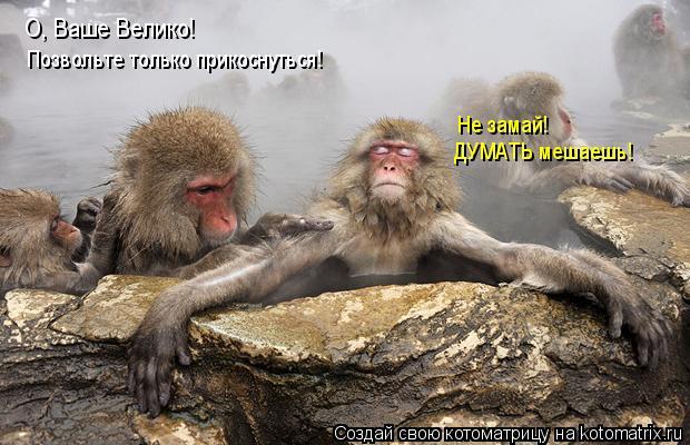 О, Ваше Велико! Позвольте только прикоснуться! Не замай! ДУМАТЬ мешаешь!... Котоматрица: О, Ваше Велико! Позвольте только прикоснуться! Не замай! ДУМАТЬ мешаешь!