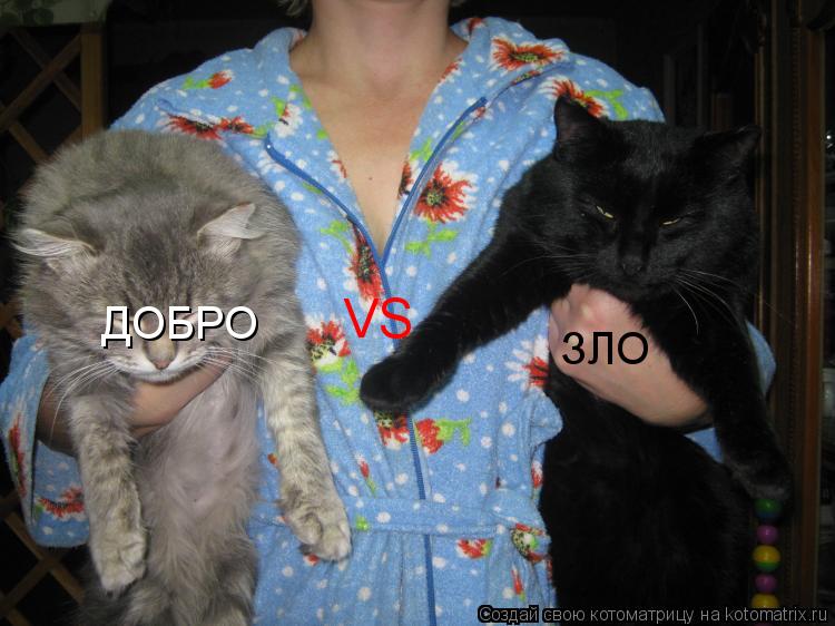 Котоматрица: VS ДОБРО ЗЛО