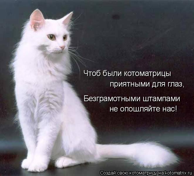 Чтоб были котоматрицы приятными для глаз, Безграмотными штампами не опошляйте нас!... Котоматрица: Чтоб были котоматрицы приятными для глаз, Безграмотными штампами не опошляйте нас!