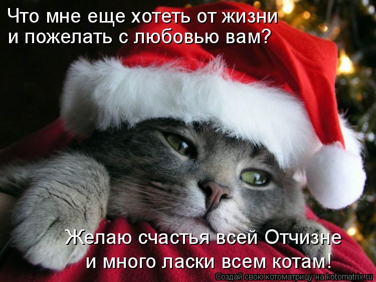 Котоматрица: Что мне еще хотеть от жизни  и пожелать с любовью вам? Желаю счастья всей Отчизне  и много ласки всем котам!
