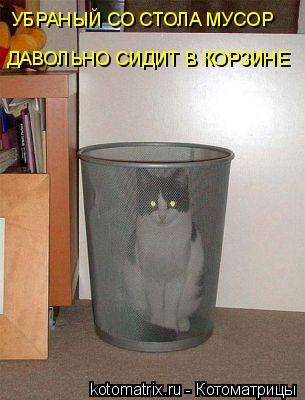 Котоматрица: УБРАНЫЙ СО СТОЛА МУСОР ДАВОЛЬНО СИДИТ В КОРЗИНЕ
