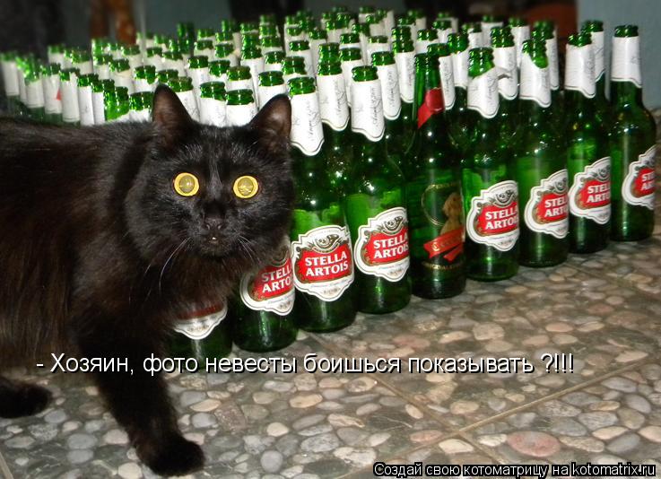 Котоматрица: - Хозяин, фото невесты боишься показывать ?!!!