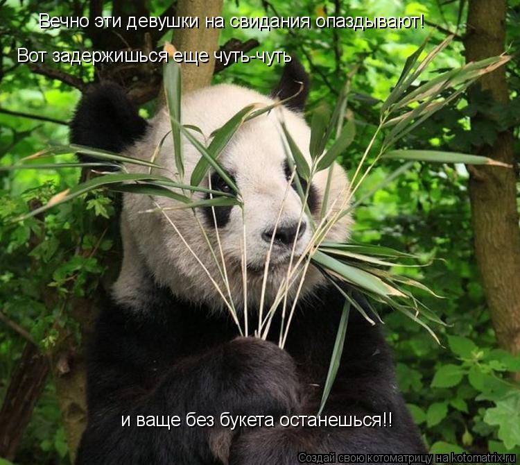 Котоматрица: Вечно эти девушки на свидания опаздывают!  и ваще без букета останешься!! Вот задержишься еще чуть-чуть