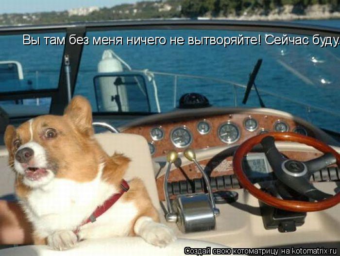 Котоматрица: Эй, вы там без меня ничего не вытворяйте! Сейчас буду, пока хозяин в пахмеле. Вы там без меня ничего не вытворяйте! Сейчас буду.