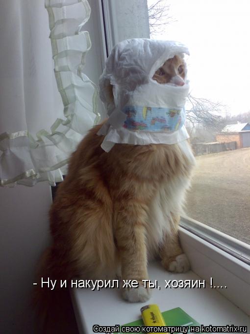 - Ну и накурил же ты, хозяин !....... Котоматрица: - Ну и накурил же ты, хозяин !....