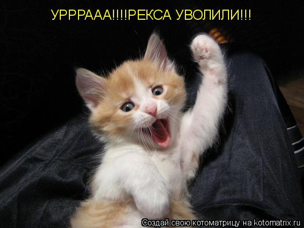 УРРРААА!!!!РЕКСА УВОЛИЛИ!!!... Котоматрица: УРРРААА!!!!РЕКСА УВОЛИЛИ!!!